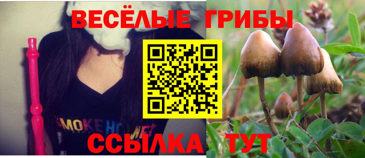 Псилоцибиновые грибы GOLDEN TEACHER Изобильный